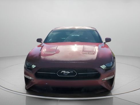 Certified 2020 Ford Mustang Premium w/ Equipment Group 201A RWD image 8