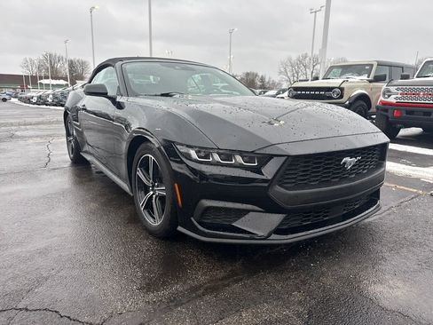 Used 2025 Ford Mustang Premium image 4