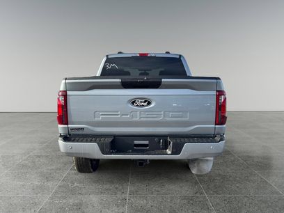 New 2025 Ford F150 STX w/ STX Black Appearance Package
