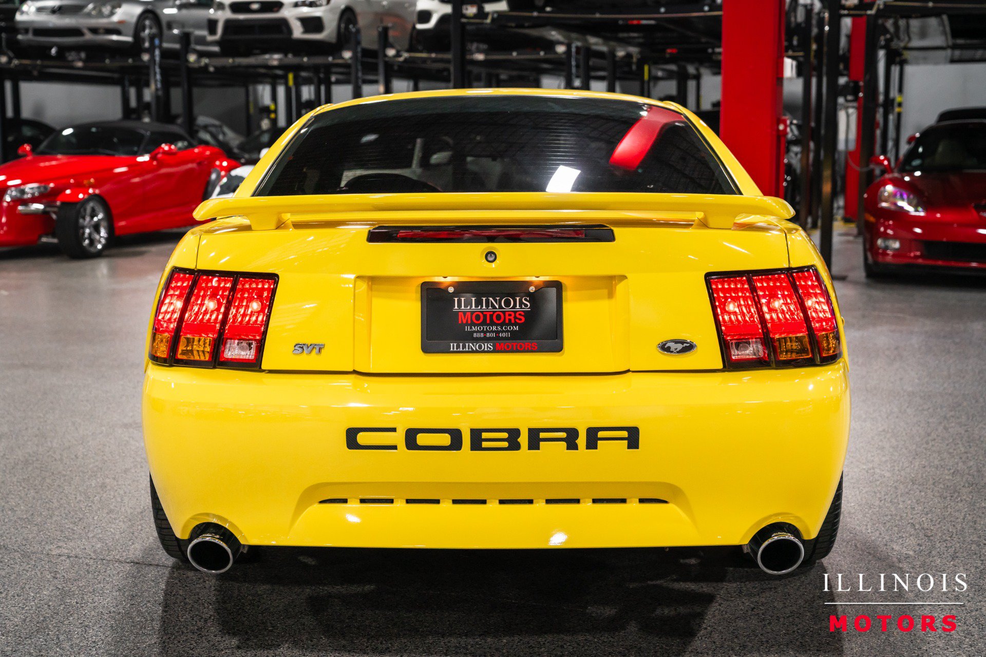 Used 2001 Ford Mustang Cobra RWD image 4