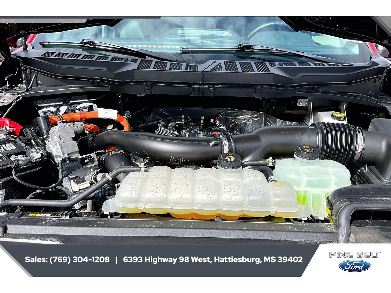 Used 2025 Ford F150 XLT w/ Equipment Group 301A Standard AWD/4WD image 8