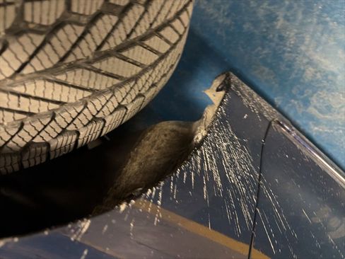 Used 2013 Honda Accord Sport image 21