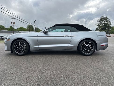 Used 2023 Ford Mustang Premium image 8