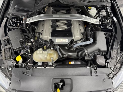 Used 2017 Ford Mustang GT Premium w/ Equipment Group 401A RWD image 36