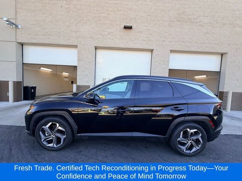 Used 2022 Hyundai Tucson Limited image 2