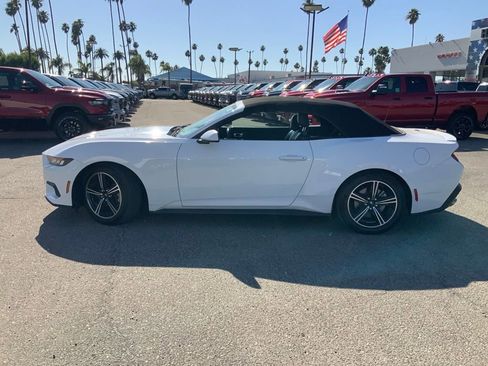 Used 2024 Ford Mustang Premium RWD image 13