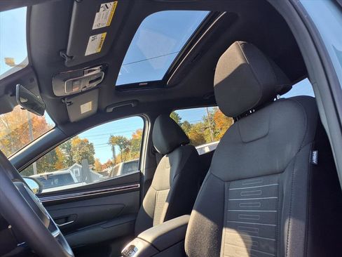 Used 2024 Hyundai Santa Cruz SEL w/ Activity Package image 7