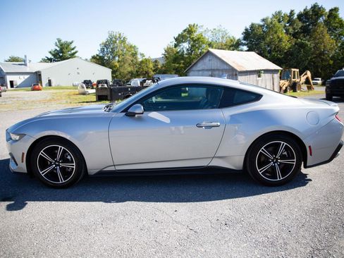 Used 2024 Ford Mustang Premium image 6