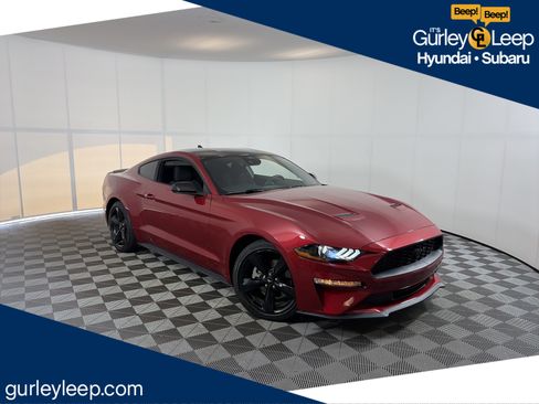 Used 2021 Ford Mustang Coupe w/ Equipment Group 101A RWD image 1