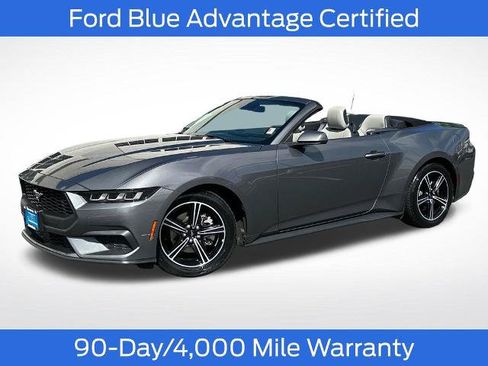 Certified 2024 Ford Mustang Premium RWD image 1