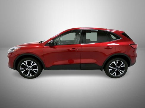 Used 2022 Ford Escape SE w/ SE Sport Appearance Package image 3