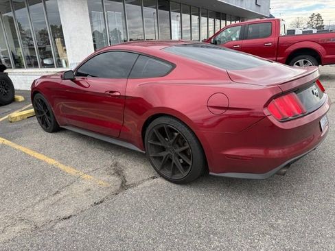 Used 2015 Ford Mustang Premium w/ Equipment Group 201A image 7