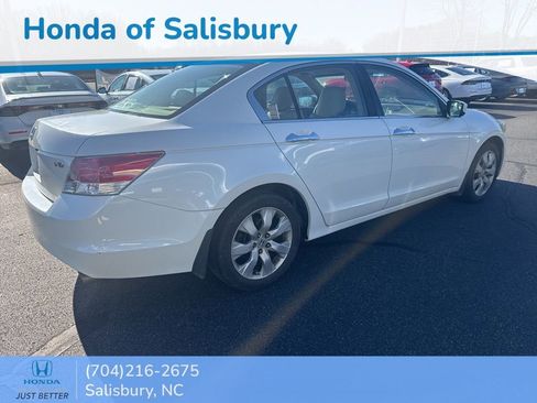 Used 2008 Honda Accord EX-L image 5