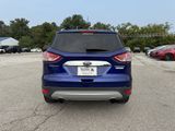 Used 2016 Ford Escape Titanium image 5