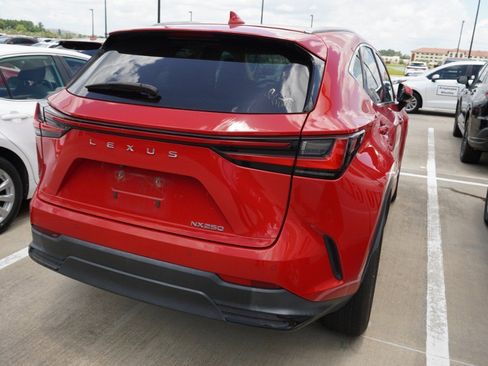 Used 2024 Lexus NX 250 FWD image 4