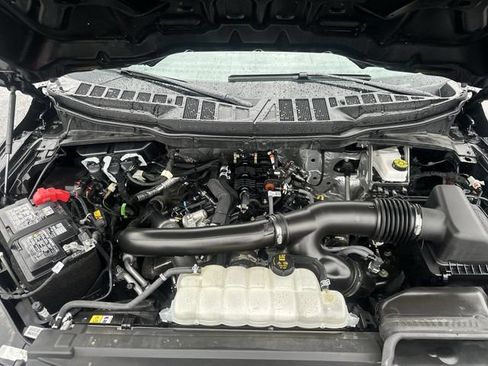 Used 2025 Ford F150 XLT w/ Equipment Group 301A Standard AWD/4WD image 19