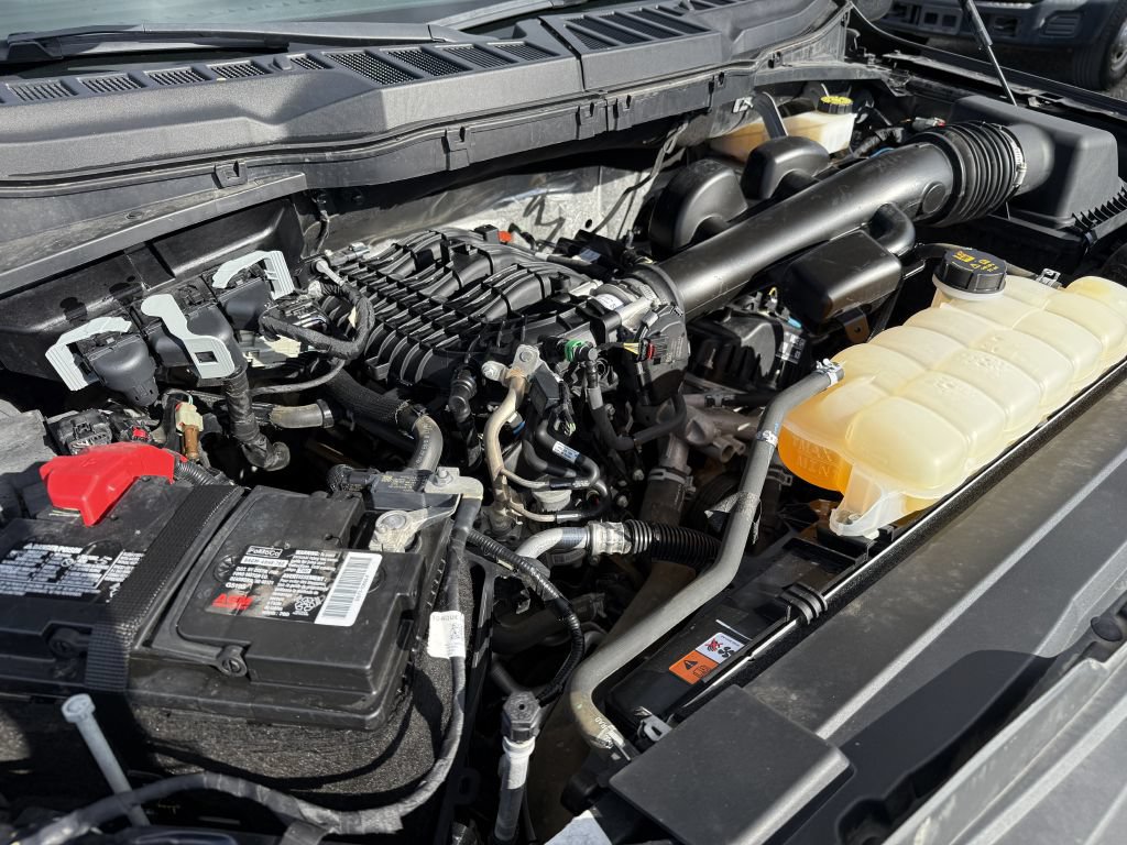 Used 2021 Ford F150 XL w/ XL Power Equipment Group AWD/4WD image 24