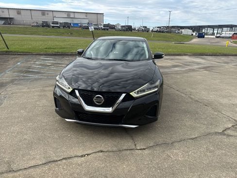Used 2019 Nissan Maxima 3.5 SV w/ Floor Mat Group image 4
