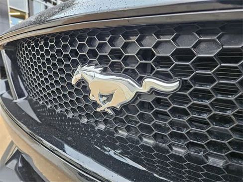Used 2023 Ford Mustang GT Premium w/ Equipment Group 401A image 12
