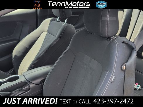 Used 2019 Ford Mustang Coupe RWD image 13
