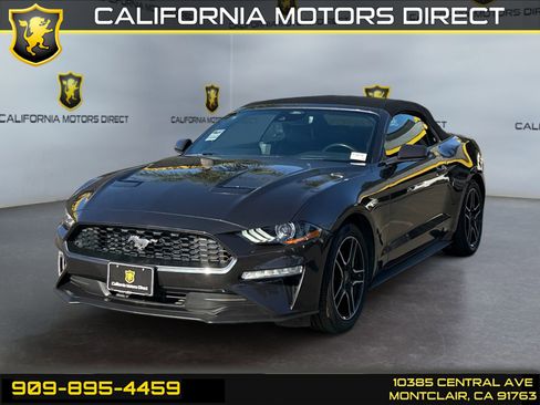 Used 2023 Ford Mustang Premium image 1