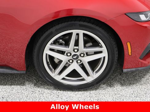 Used 2024 Ford Mustang Premium image 5