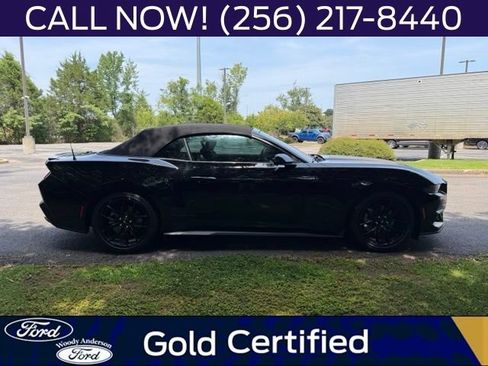 Used 2024 Ford Mustang Convertible w/ Mustang Nite Pony Package RWD image 5