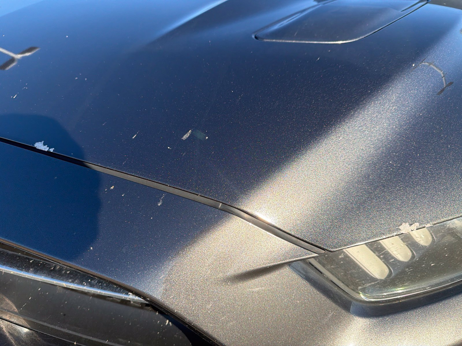 Used 2015 Ford Mustang GT Premium w/ Equipment Group 401A RWD image 4