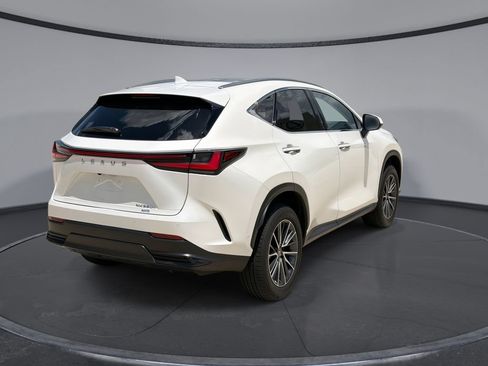 Used 2025 Lexus NX 350h AWD w/ Cold Area Package image 11
