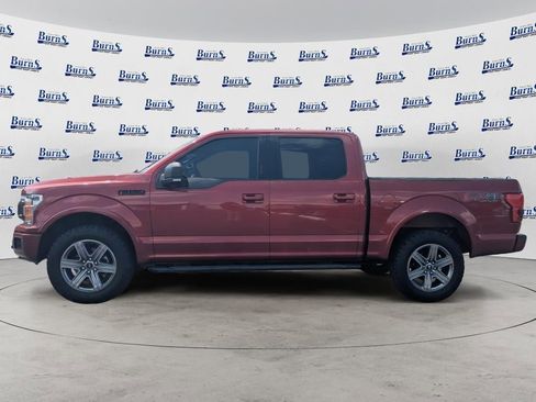 Used 2019 Ford F150 XLT w/ Equipment Group 302A Luxury AWD/4WD image 6