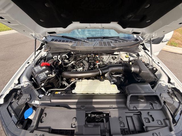 Used 2025 Ford F150 XLT w/ Equipment Group 301A Standard AWD/4WD image 18