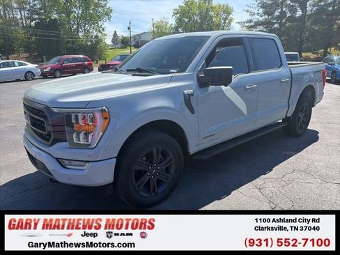 Used 2023 Ford F150 XLT w/ Equipment Group 302A High image 1