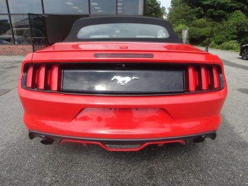 Used 2016 Ford Mustang Premium image 5