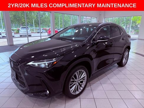 Certified 2025 Lexus NX 350h AWD w/ Cold Area Package image 3