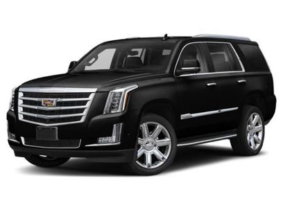 Used 2019 Cadillac Escalade 4WD