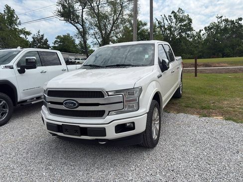 Used 2019 Ford F150 Platinum w/ Equipment Group 701A Luxury AWD/4WD image 2
