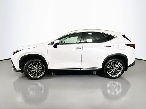Used 2025 Lexus NX 350 AWD w/ Accessory Package (2T) image 4