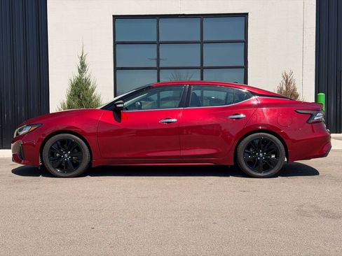 Used 2023 Nissan Maxima SL FWD image 2