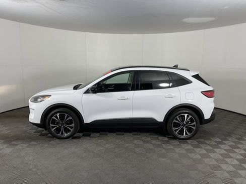 Used 2022 Ford Escape SEL w/ SEL Stealth AWD Package image 3