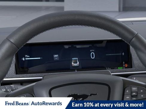 New 2025 Ford Mustang Mach-E GT w/ Interior Protection Package image 14