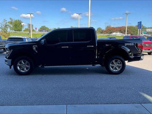 Used 2025 Ford F150 XLT w/ Equipment Group 301A Standard AWD/4WD image 8