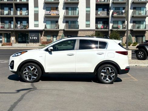 Used 2022 Kia Sportage EX w/ EX Technology Package image 3