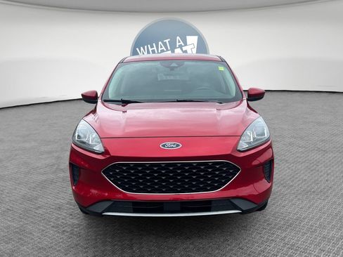 Used 2020 Ford Escape SE AWD/4WD image 9