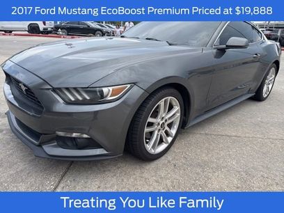 Used 2017 Ford Mustang Premium w/ Equipment Group 201A