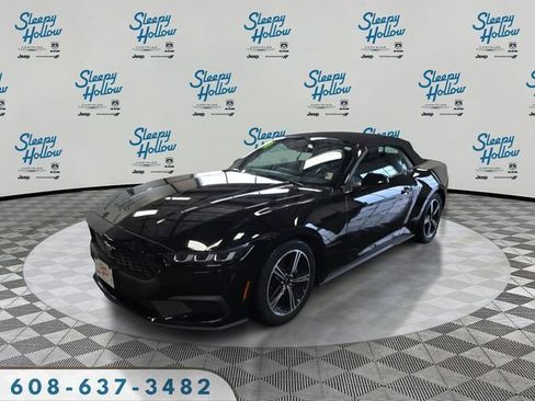 Used 2024 Ford Mustang Premium image 1
