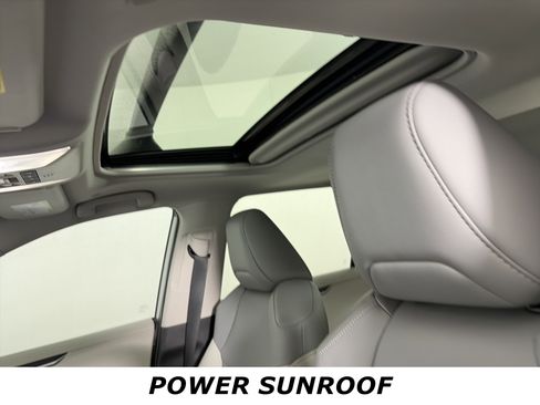 Used 2025 Toyota RAV4 XLE Premium image 7