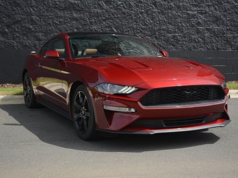 Used 2019 Ford Mustang Premium w/ Ford Safe & Smart Package RWD image 9
