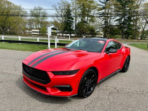 Used 2025 Ford Mustang Coupe w/ Mustang Nite Pony Package RWD image 1