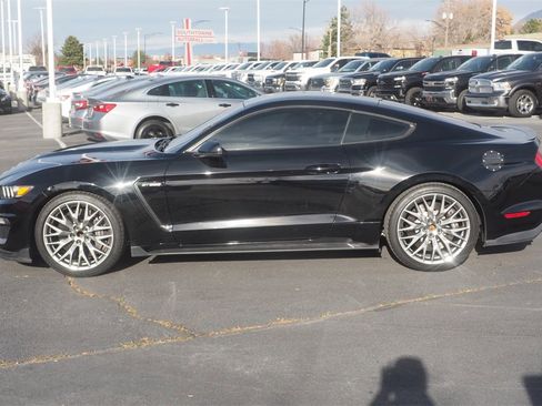 Used 2016 Ford Mustang Shelby GT350 w/ Technology Package image 8