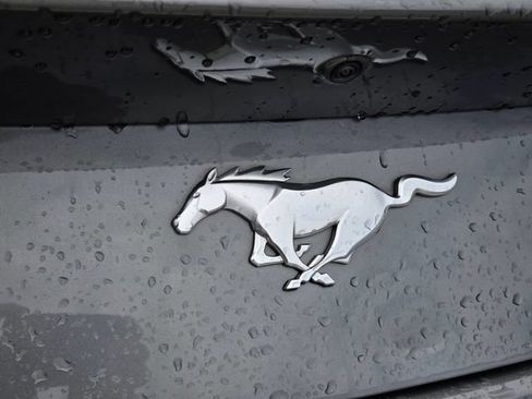 Used 2024 Ford Mustang Premium RWD image 9